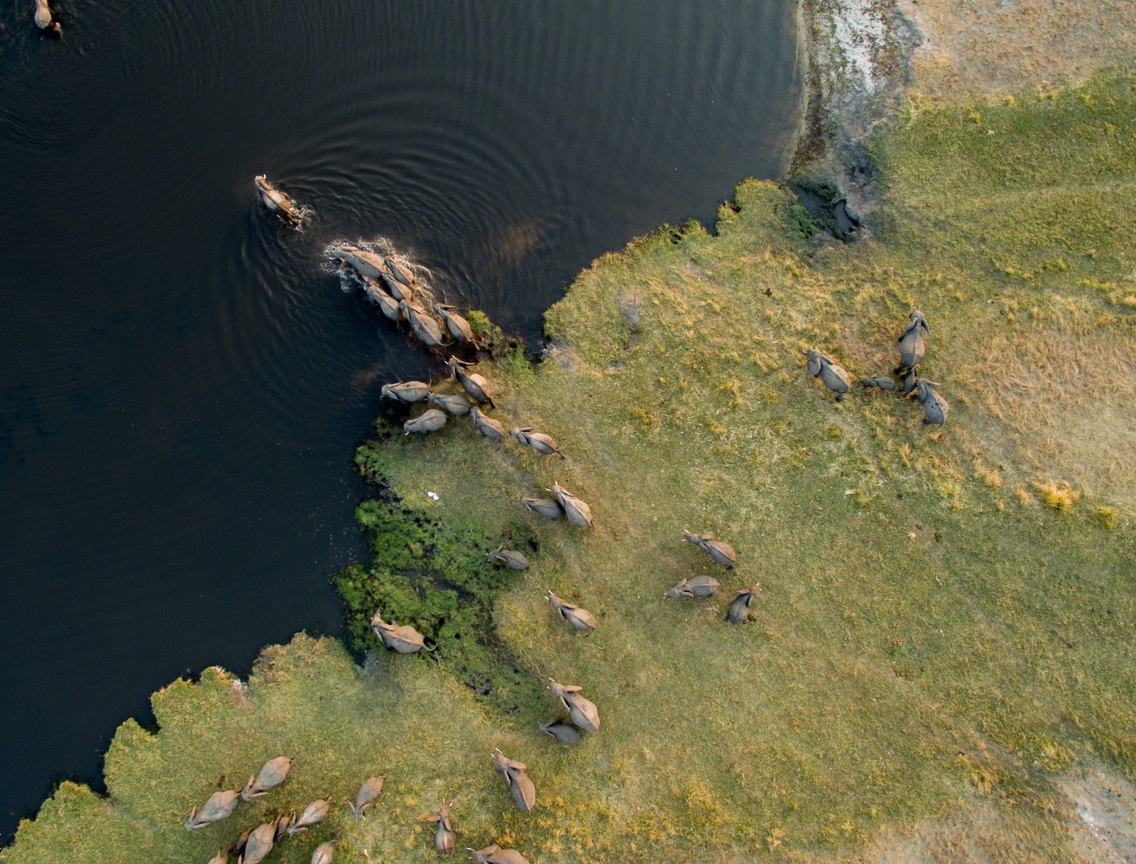 Botswana