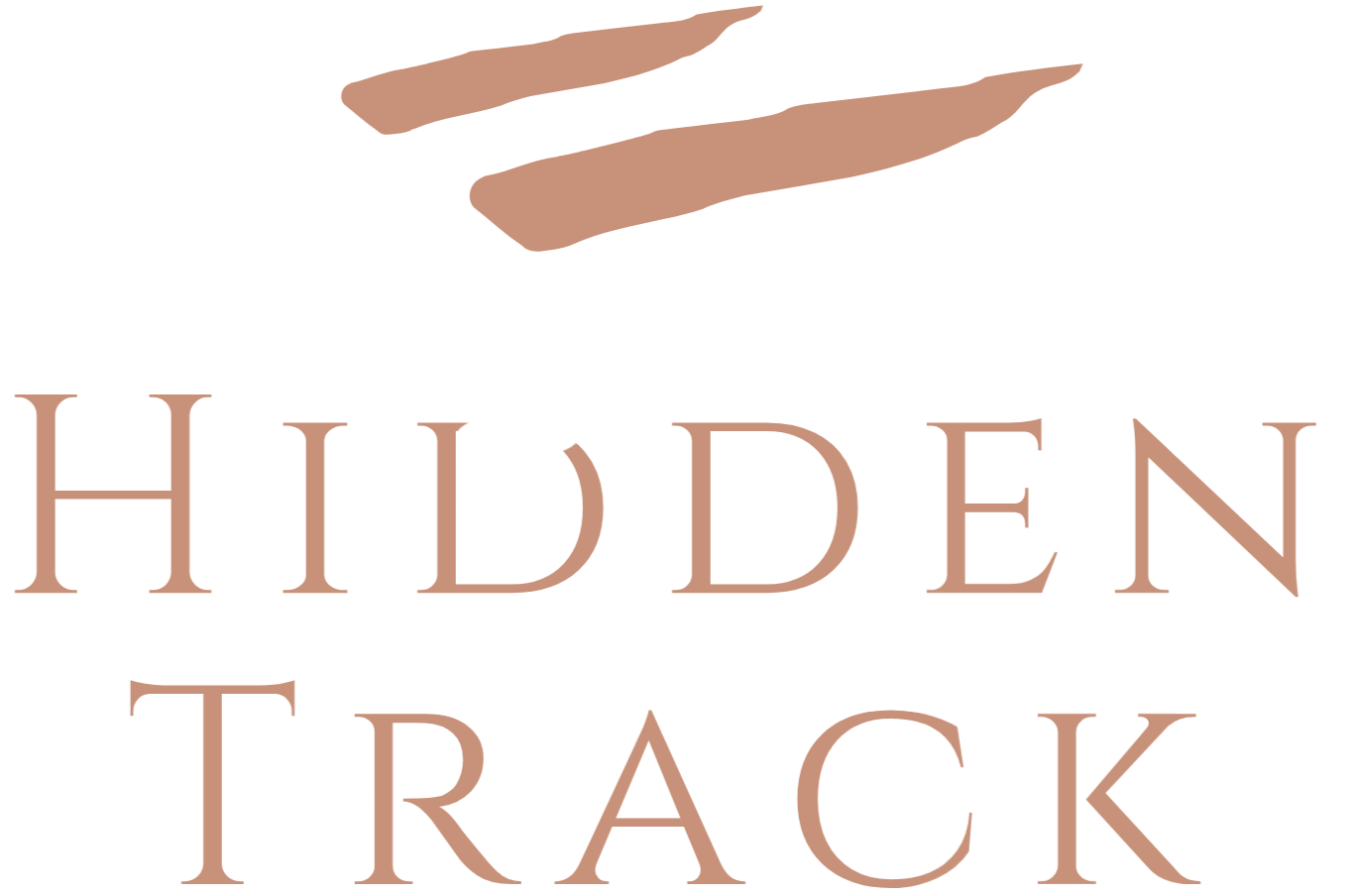 Safari Logo